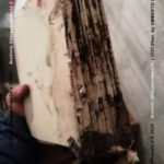 VN24_20230520_Circolo Galeazzo Marescotti_Vergato_Alluvione_005