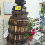 VN24_20230609_Riola di Vergato_Museo IL Torchio_010