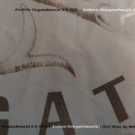 VN24_20230609_Vergato_Stemma_Elisabetta Bernardi_003