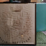 VN24_20230609_Vergato_Stemma_Elisabetta Bernardi_004