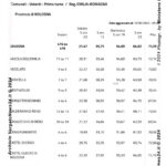 VN24_Eligendo_ Comunali [Votanti] Provincia di BOLOGNA (Primo turno) – Europee, amministrative e regionale (Piemonte) 8-9 giugno 2024 – Ministero dell’Interno – 0001 copy