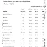 VN24_Eligendo_ Comunali [Votanti] Provincia di BOLOGNA (Primo turno) – Europee, amministrative e regionale (Piemonte) 8-9 giugno 2024 – Ministero dell’Interno – 0001 copy