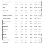 VN24_Eligendo_ Comunali [Votanti] Provincia di BOLOGNA (Primo turno) – Europee, amministrative e regionale (Piemonte) 8-9 giugno 2024 – Ministero dell’Interno – 0002 copy