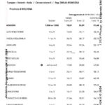 VN24_Eligendo_ Europee [Votanti] Provincia di BOLOGNA (Italia) – Europee, amministrative e regionale (Piemonte) 8-9 giugno 2024 – Ministero dell’Interno – 0001 copy