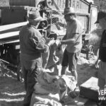 VN24_20240730_Labante_Trebbiatura 2024_002