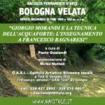 Tolè_Bologna Velata_02_locandina