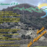 VN24_DEP-AMICI – 0003