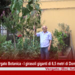 YT_20241002_F_Vergato_Girasoli.Immagine139
