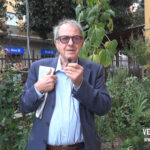 YT_20241002_F_Vergato_Girasoli.Immagine141