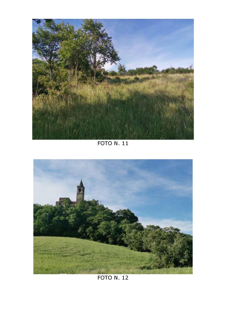 20251013_Vergato_Montecavalloro_Asta_003